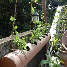 Urban home gardening, you can use sunlight and other limited Vertical Gardening Archives Intrepid Gardens