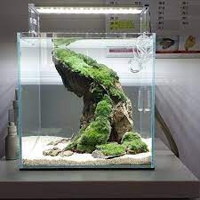 There are several benefits to use live rock including quicker cycling, biodiversity, stability, and aesthetics. Nano Tank Rock Design Ideas Nano Tank Betta Aquarium Aquascape