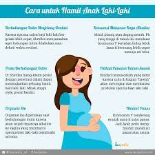 Cuma, suami perlu mencondongkan badannya ke arah isteri cuba lakukan cara buat anak ini di permukaan meja dapur. Cara Untuk Hamil Anak Laki Laki Infografis Ibupedia