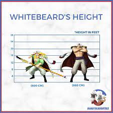 The Big Question : How tall is Whitebeard in One Piece ?