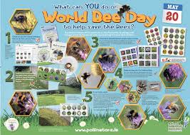 The plant is protected where populations are vulnerable, including northern ireland. World Bee Day 2020 All Ireland Pollinator Plan