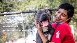 Pictures of dogs and cats who need a home. Austin Animal Center Home Facebook
