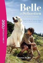 When the plane carrying the young woman to her small village in the alps is reported to have crashed in the mountains, sebastian is convinced that angelina is still alive. Belle Et Sebastien 2 L Aventure Continue Le Roman Du Film Films Bb Rose 8 10 0 French Edition 9782012317376 Amazon Com Books