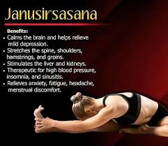 Janushir Asana In Hath Yoga It S Benefits At Divyatattva India Yogapose Yoga Yogapractice Yogalife Yogains Hath Yoga Wellness Yoga Easy Yoga Workouts