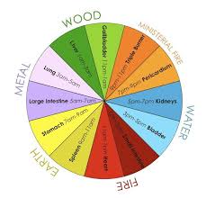 chinese medicine daily biorhythms and organs acupuncture