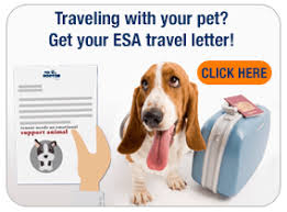 Who can write an esa letter? Emotional Support Animal Letter Template The Online Dogtor