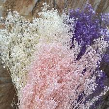 Maybe you would like to learn more about one of these? 60g Real Natural Fresh Forever Babysbreath Dried Preserved Baby Breath Flowers Diy Dry Gypsophile Flower Bouquet For Home Decor Artificial Dried Flowers Aliexpress