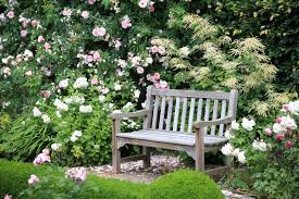 Jeri jennings, consulting rosarian camarillo, california. 16 Types Of Roses Most Popular Rose Varieties