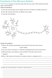 Try to remember, you always have to care for your child with amazing care, compassion and affection to be. 31 1 The Neuron Build Vocabulary Lesson Objectives Pdf Free Download