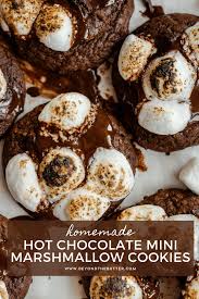 Hot Chocolate Mini Marshmallow Cookies Recipe In 2020 Hot Chocolate Cookies Delicious Christmas Desserts Marshmallow Cookies