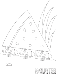 Mickey and minnie mouse is going to picnic coloring page. Printable Coloring Book Pages For Kids Gunter Pest Lawn Kcmo