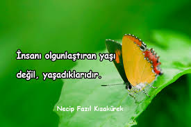 En önemii şeyin yaşamak değii, iyi ve doğru yaşamaktır. Yasamak Ile Ilgili Guzel Sozler Guzel Sozler Guzel Mesajlar