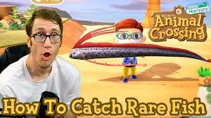 They often show up during certain months or even at specific times of the day. How To Catch Rare Fish In Animal Crossing New Horizons Youtube