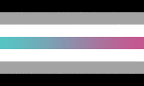 Black And White Flag Meaning Sexuality Librafluid Pride Flag Pride Flags Lgbtq Flags Flag