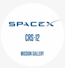 Spacex, logo icon in coreui brands ✓ find the perfect icon for your project and download them in svg, png, ico or icns, its free! Spacex Logo Svg Top Company People Want To Work Free Transparent Png Download Pngkey