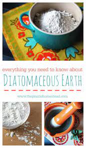 How To Use Diatomaceous Earth The Prairie Homestead