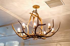 How do you feel about using a pair of antlers to spice up your decor? Antlers Decor 10 Ways To Use Shed Antlers In Home Decorating