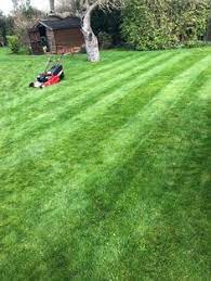 We did not find results for: 10 Gardening Ideas Mowing Lawn Lichfield