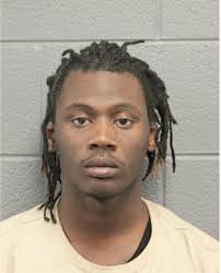 ᐅ Illinois Criminal Records 2009-2026