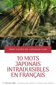 10 Mots Japonais Intraduisibles En Francais Cours De Japonais Japon Mots Japonais