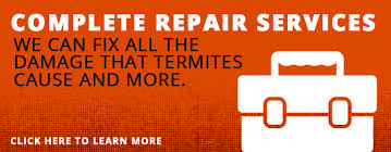 Is open and scheduling appointments for treatment. Big Time Pest Control Northern California Exterminators