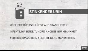 Doktorweigl Erklart Ubelriechender Urin Nahrungsmittel Und Krankheiten Wegen Denen Der Urin Stinkt