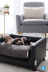 Dog beds for large dogs chewy. Chewy Dog Sofa Pasteurinstituteindia Com