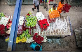 Maybe you would like to learn more about one of these? Love Drives Up Prices At Africa S Only Flower Auction The Mail Guardian