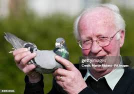 8,655 Roden Stock Photos, High-Res Pictures, and Images