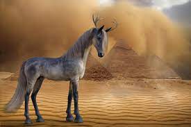 Myth Horse Desert Free Image On Pixabay