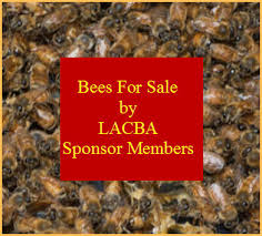 For removal of beehives on private residences or private property, even property located within the jurisdiction of the county, resident may have to contact a private pest control company. Swarm And Bee Removal Los Angeles County Beekeepers Association