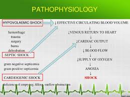 dr m a sofi md frcp london frcpedin frcsedin ppt