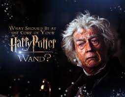What's your favorite thing to do? What Should Be At The Core Of Your Harry Potter Wand Quiz Zimbio