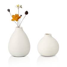 Amazon.com: 裝飾白色陶瓷花瓶2 件組小芽花瓶適用於鄉村家居裝飾窄口花卉花瓶適用於插花餐桌中心件農舍: 居家與廚房