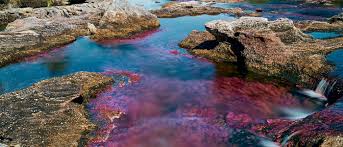 En colombie, vous verrez les défis auxquels la population est confrontée. Que Faire En Colombie Durant Les Mois De Juillet Et Aout Arawak Colombie