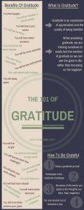 Gratitude 101 The Grateful Joy