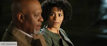 Grey's Anatomy Saison 10: résumé, épisodes, actualités