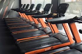 Basic fit heeft met bijna 200 vestigingen meer vestigingen dan fit for free met 95 vestigingen. Basic Fit Gym Basic Fit Torremolinos Av Palma De Mallorca