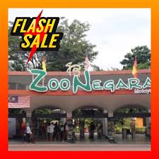 Part of the trip to malaysia with my wife. Promosi Zoo Negara Admission Tickets Include Giant Panda Conservation Centre Shopee Malaysia