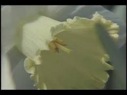 Lyle Owen Home Branson City Park