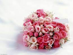 Immagini belle buona serata whatsapp. Mazzo Di Fiori Per Whatsapp