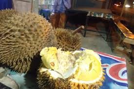 Durian musang king kecil kok bisa berbuah durian musang king paling banyak? Nikmat Legit Durian Musang King Di Lhokseumawe Mau Coba Halaman All Kompas Com