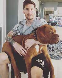 Ein hund allerdings scheint irgendwas gegen den argentinier zu haben. Twitter Lionel Messi Lionel Messi Family Messi