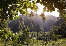The marquesas islands (/ m ɑːr ˈ k eɪ s ə s /; Iles Marquises Les Meilleurs Endroits Des Iles Marquises En Photos Elle