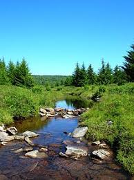 Crossing otter creek again and again, we saw waterfalls, slides and cascades. Dolly Sods Wilderness Wikipedia