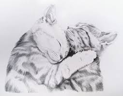 We use letters, numbers, and simple geometric shapes to guide you through the process. Illustrate My Day Cat Sketch Cat Hug Hugging Drawing