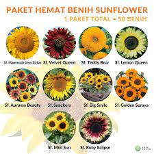 Cristata adalah bunga yang menyerupai jengger ayam dan berwarna merah keunguan. Paket Hemat Benih Aneka Sunflower Bunga Matahari 10 Jenis Total 50 Biji Shopee Indonesia