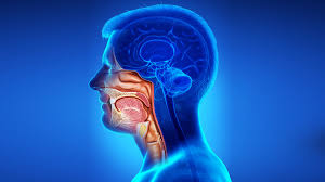 Head and neck tumors