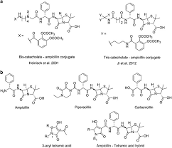 Image result for Ampicillin