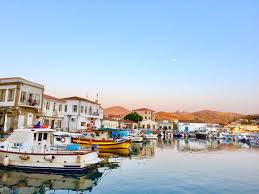 On august 16, 1960, the day that cyprus became officially independent, eldyk soldiers and officers disembarked at famagusta from the greek landing ship tanks limnos (greek: Lhmnos Thassos Private Cruises